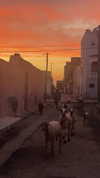 saharakatya Altpins Profile Picture