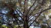 gissell_eli Altpins Profile Picture