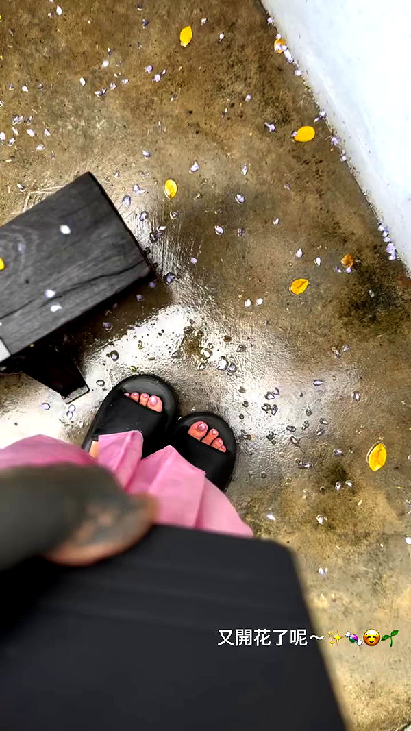 darkstar_mia archive video preview