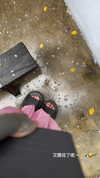 darkstar_mia Altpins Profile Picture