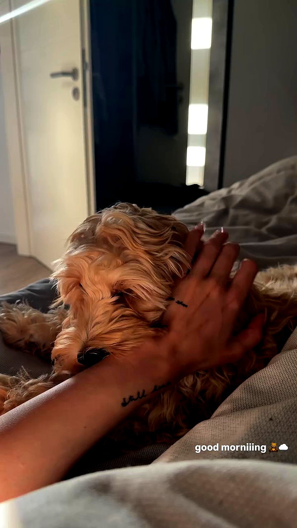 sophiecharlotth archive video preview