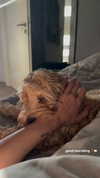 sophiecharlotth Altpins Profile Picture