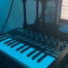 cannonstheband Altpins Profile Picture