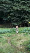 karin_orhov Altpins Profile Picture