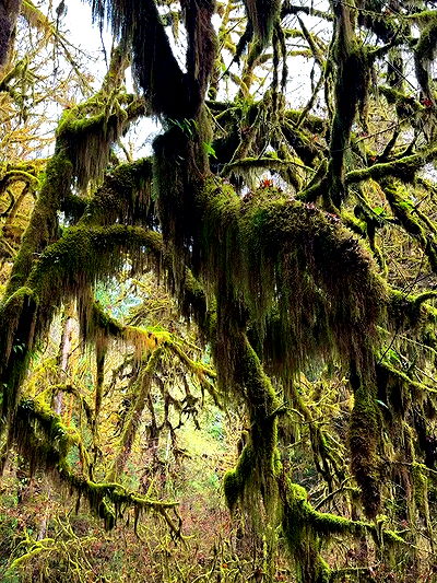 taylor.creeden taylor.creeden archive video