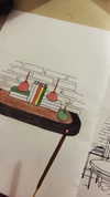 shai_landau_ Altpins Profile Picture