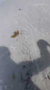 lolontlia Altpins Profile Picture