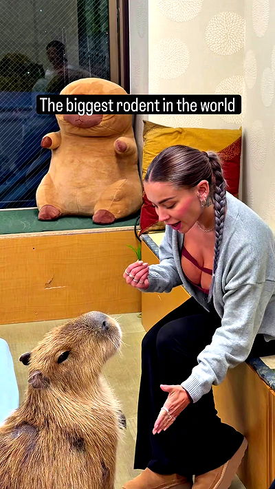 itshayleydavies itshayleydavies archive video