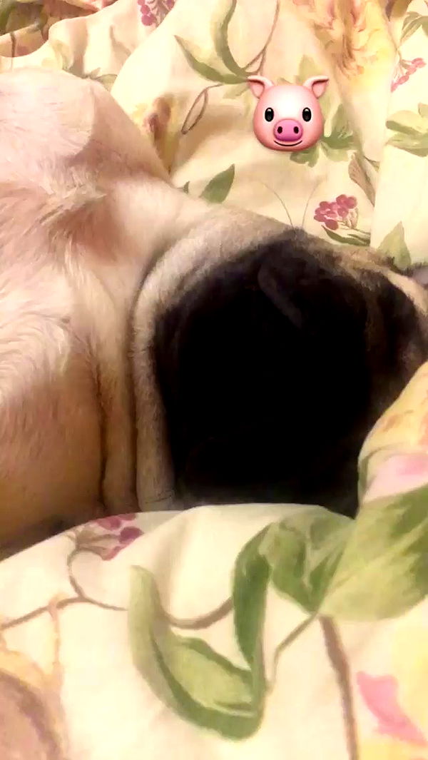 nyityam archive video preview