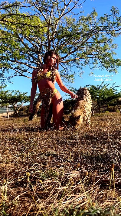 taylor.creeden taylor.creeden archive video