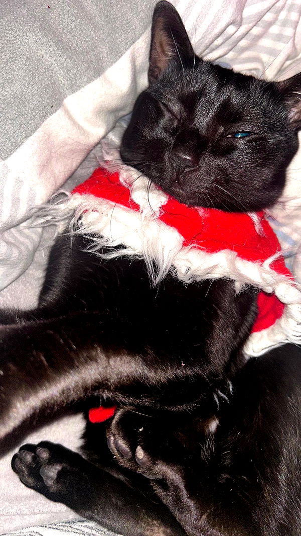 feelbetterinmysweater archive video preview