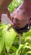 maayan.shaibi Altpins Profile Picture