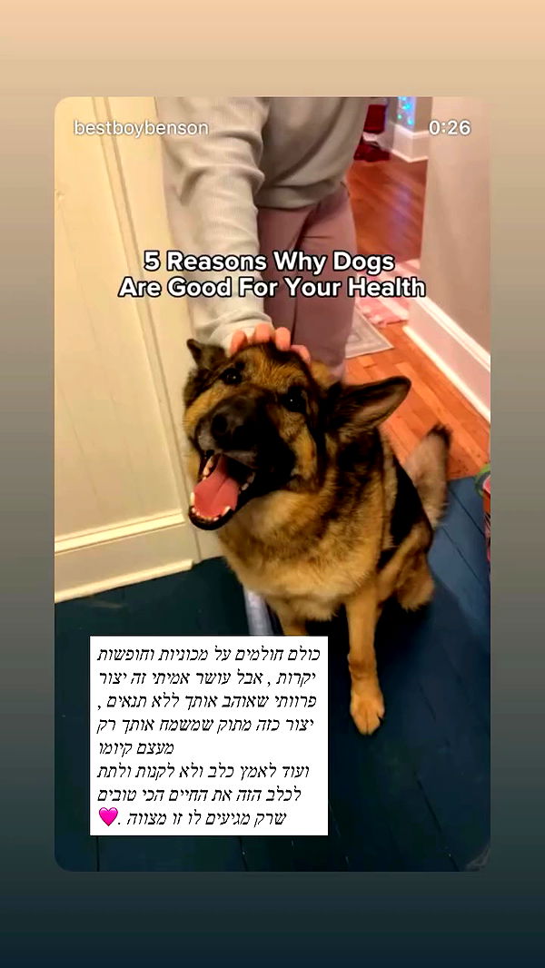 emily_new2 archive video preview