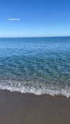 maori_cohen Altpins Profile Picture