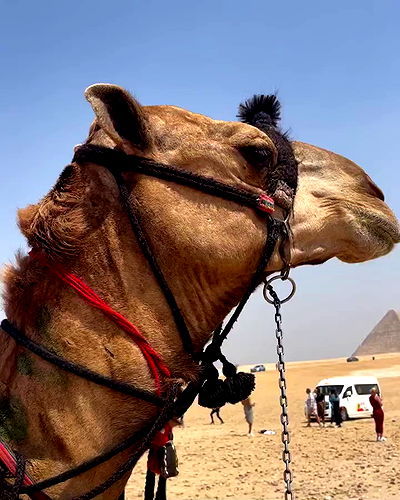 taylor.creeden taylor.creeden archive video