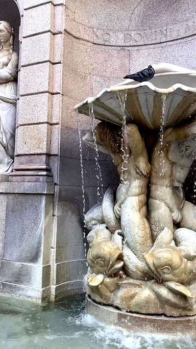 taylor.creeden taylor.creeden archive video