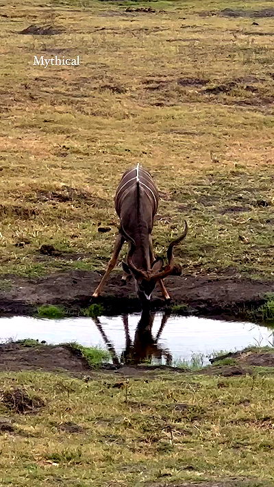 taylor.creeden taylor.creeden archive video