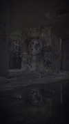 mydriasislive Altpins Profile Picture