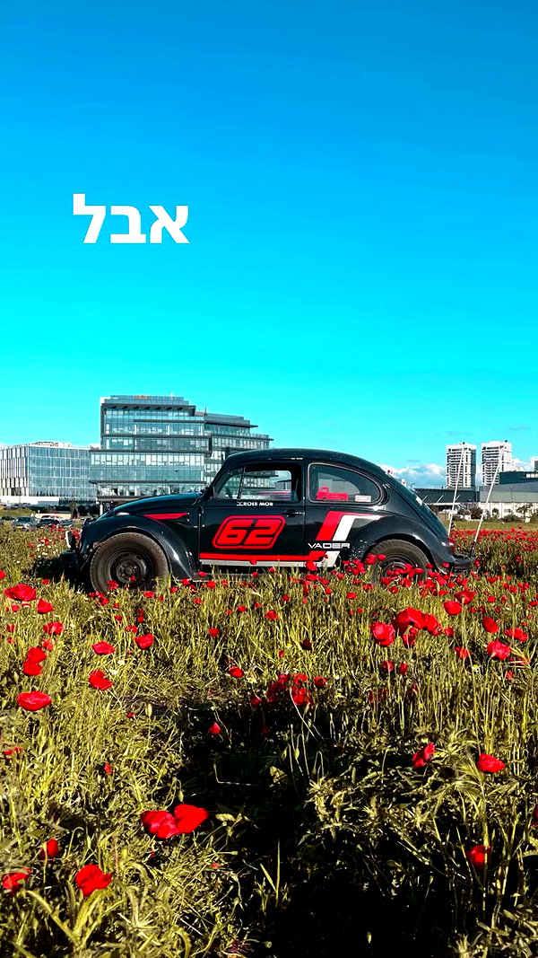 roee_mor_62 archive video preview