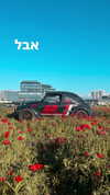 roee_mor_62 Altpins Profile Picture