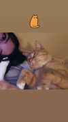 rachelchaleff Altpins Profile Picture
