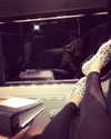 alexandradaddario Altpins Profile Picture