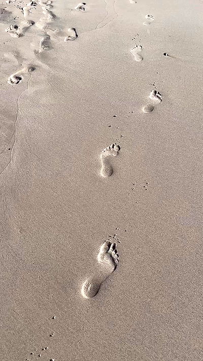 taylor.creeden taylor.creeden archive video