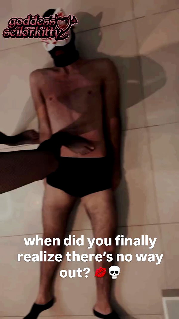 seilorkittyofficial archive video preview