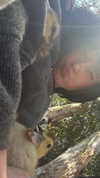 feelbetterinmysweater Altpins Profile Picture