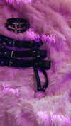 tiny.eviluv Altpins Profile Picture