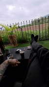 xzot1_met4xx Altpins Profile Picture