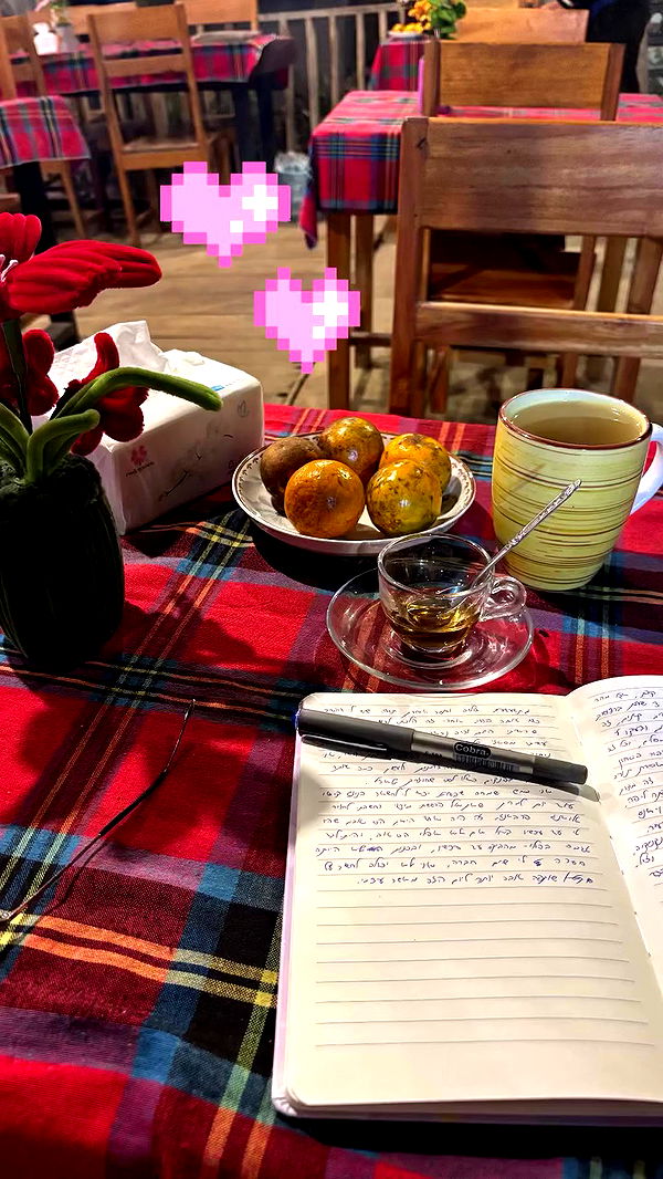 yam_adler archive video preview