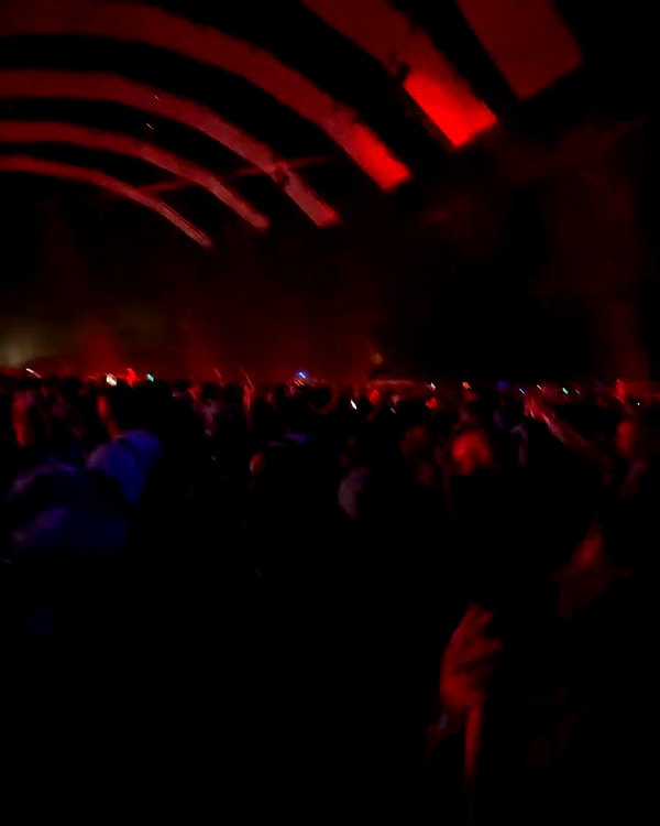 brontesheppeard archive video preview
