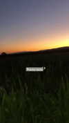 yaarat11 Altpins Profile Picture