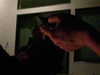 gabydayan Altpins Profile Picture