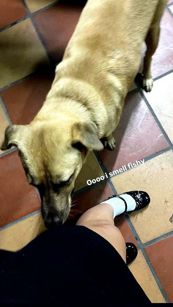 kteaworld archive video preview