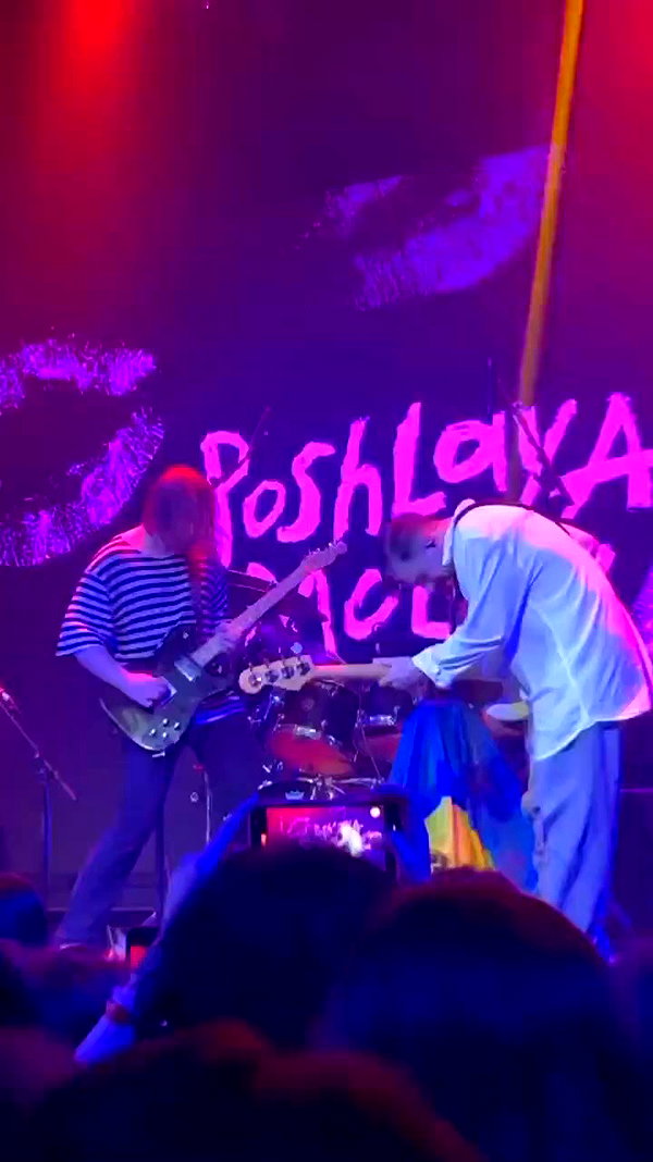 _allvi.pansk archive video preview