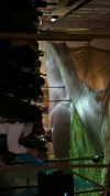 _lironatias Altpins Profile Picture