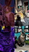 _ociaa_05 Altpins Profile Picture