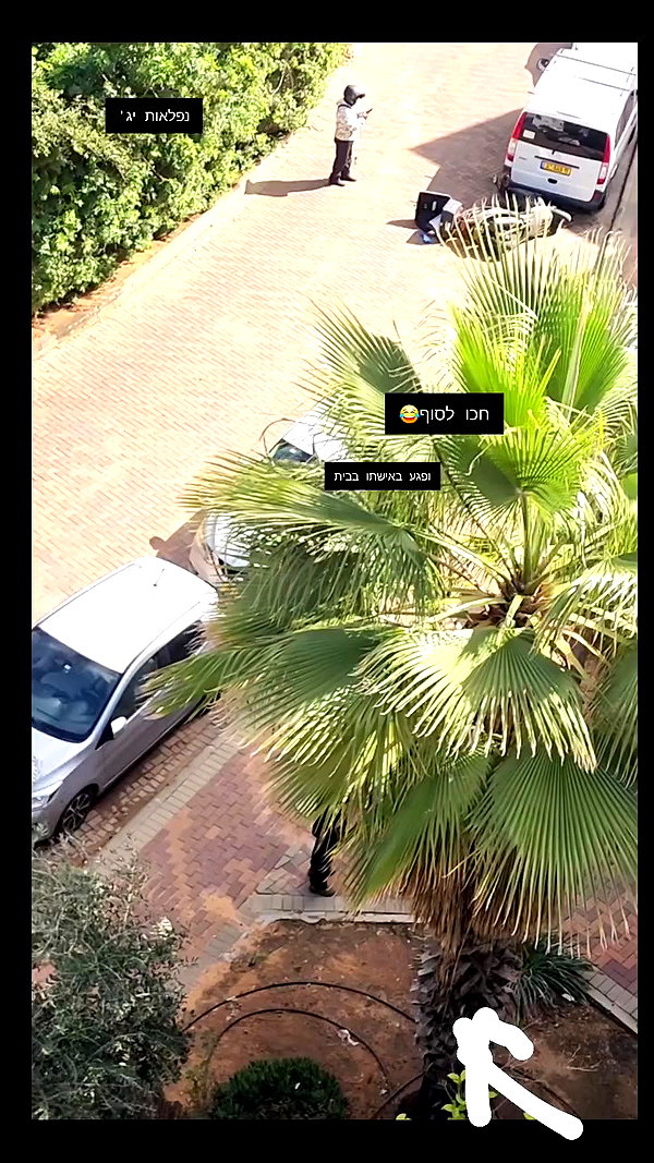 eveliniya archive video preview