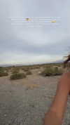 payton.r Altpins Profile Picture