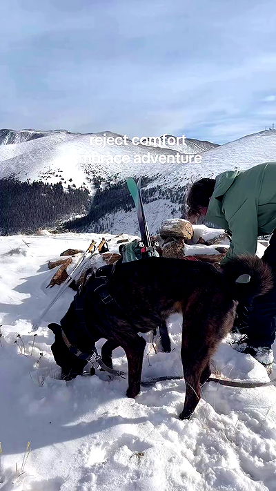 thelizzyporter thelizzyporter archive video