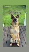 emily_new2 Altpins Profile Picture
