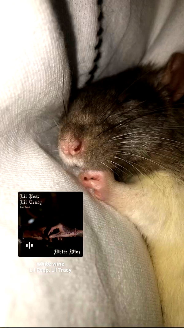_emi.isk archive video preview