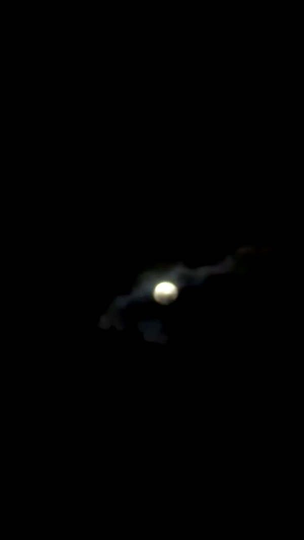 deanapourian archive video preview