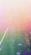 avrillavigne Altpins Profile Picture