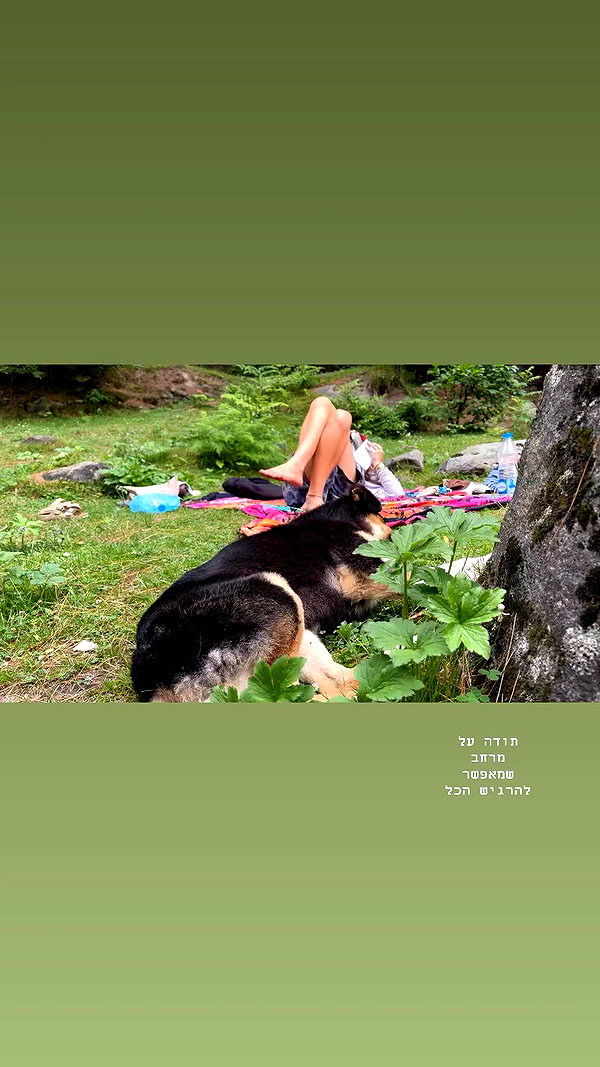 talya.fridland archive video preview