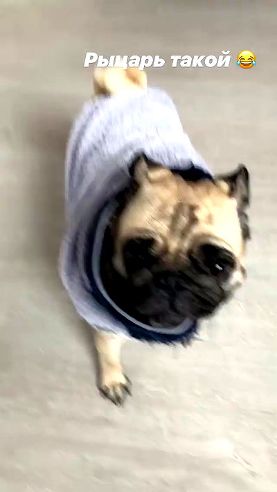 nyityam nyityam archive video