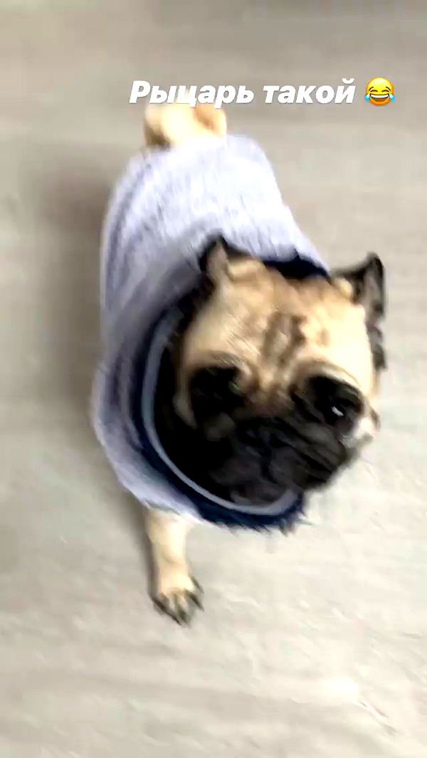 nyityam archive video preview