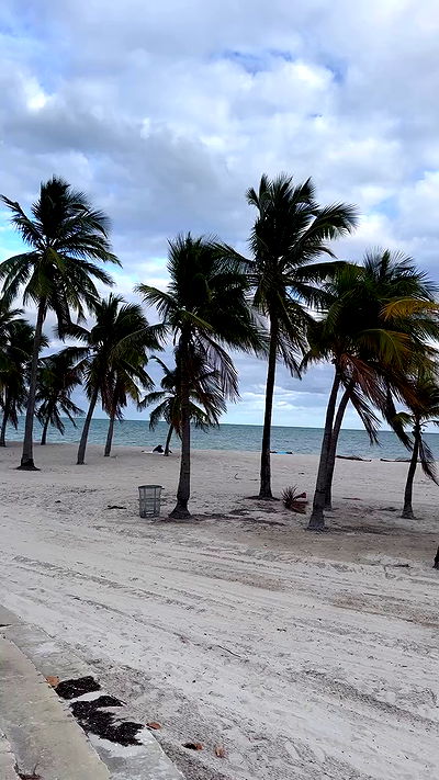 taylor.creeden taylor.creeden archive video